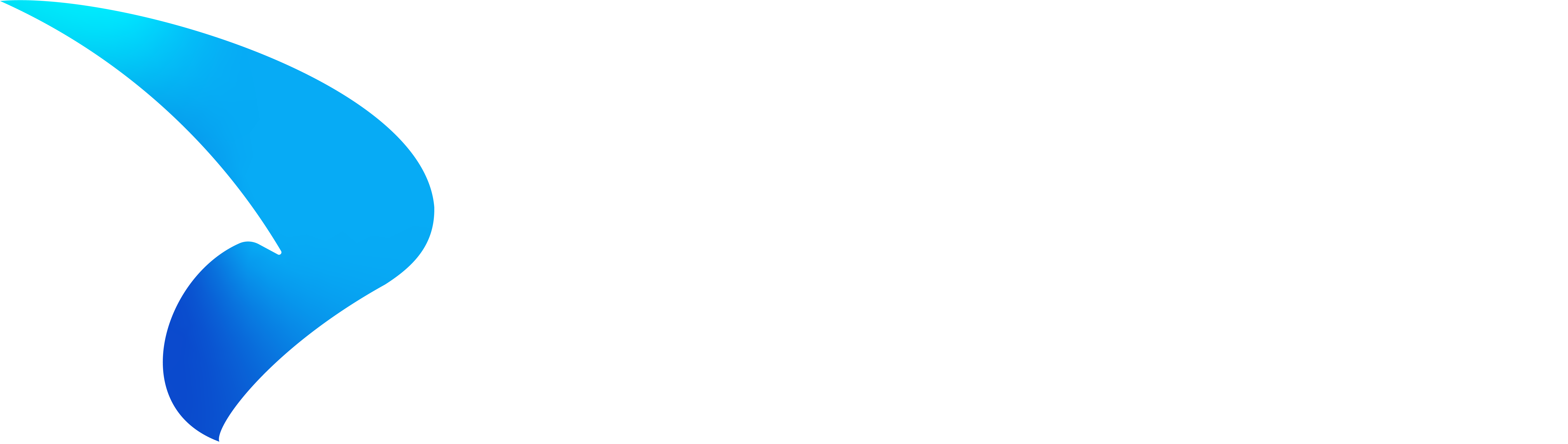 Priva Drive white logo